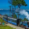 darjeeling ANP